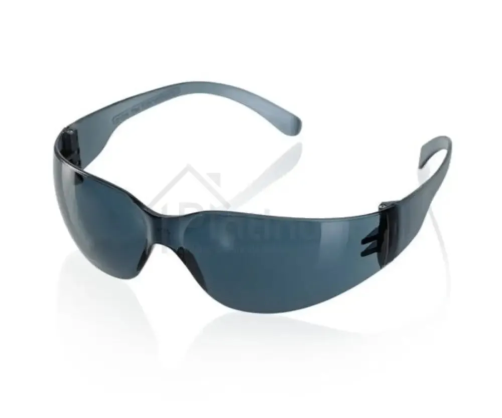 Beeswift Ancona Economy Safety Spectacles