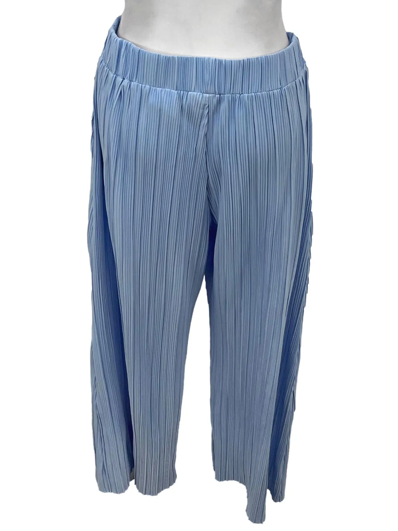 Blue Pleat Pants