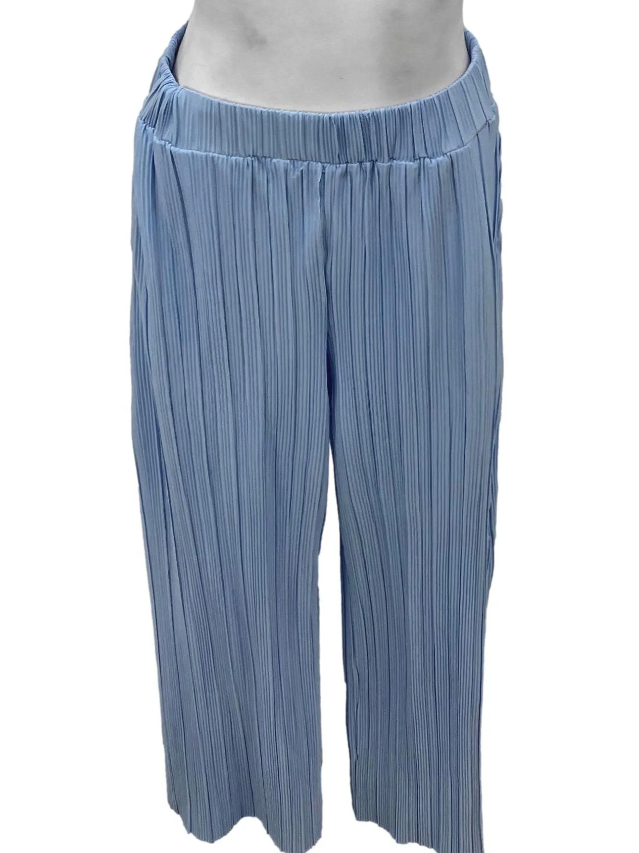 Blue Pleat Pants