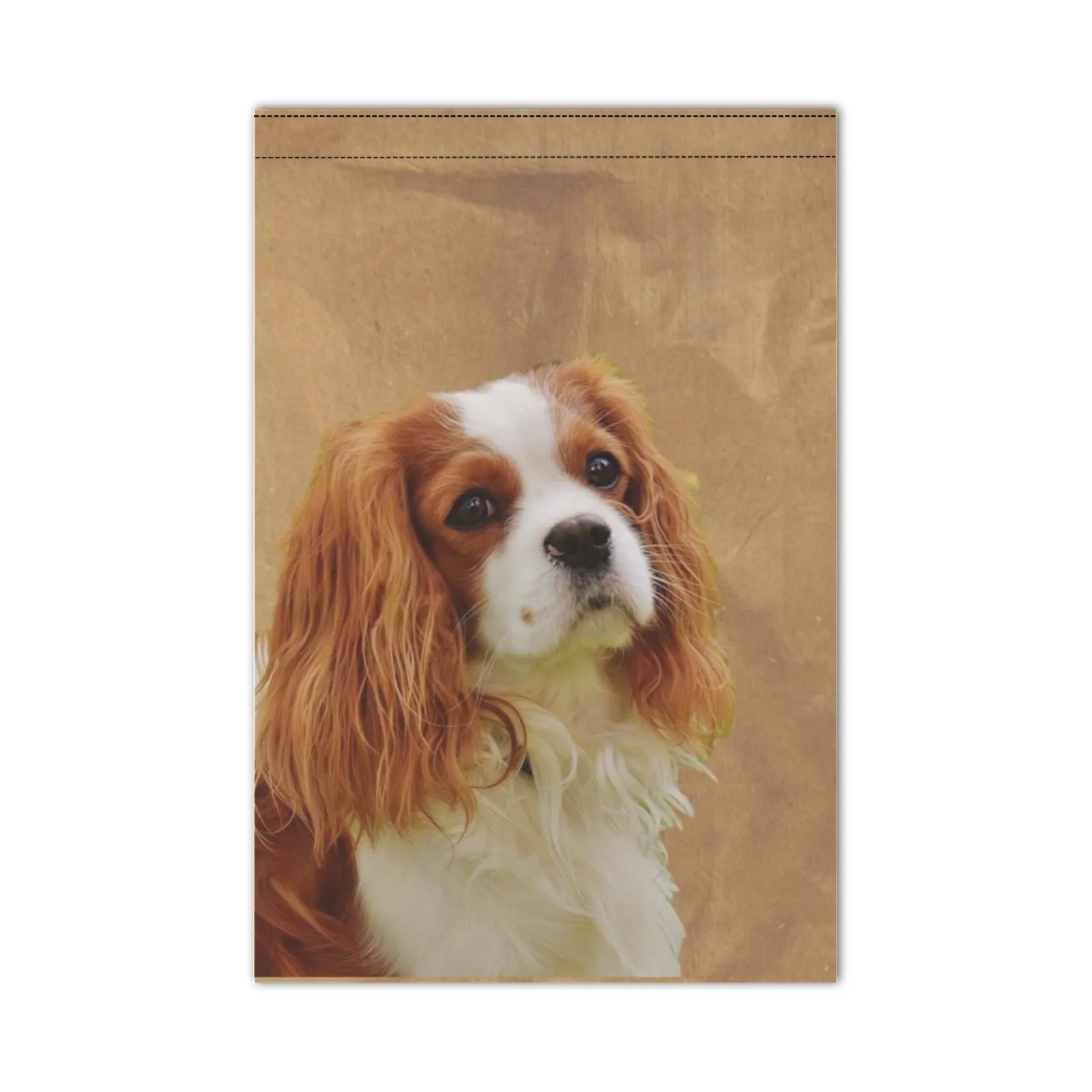 Cavalier King Charles Spaniel Garden Flag