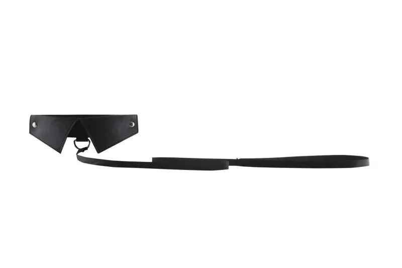 Classic Collar W / Leash - Black