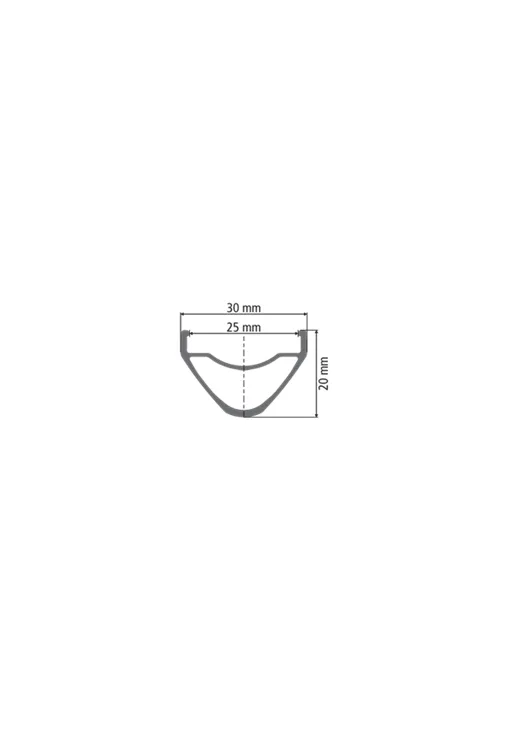 DT Swiss -XM 421 29" Rims
