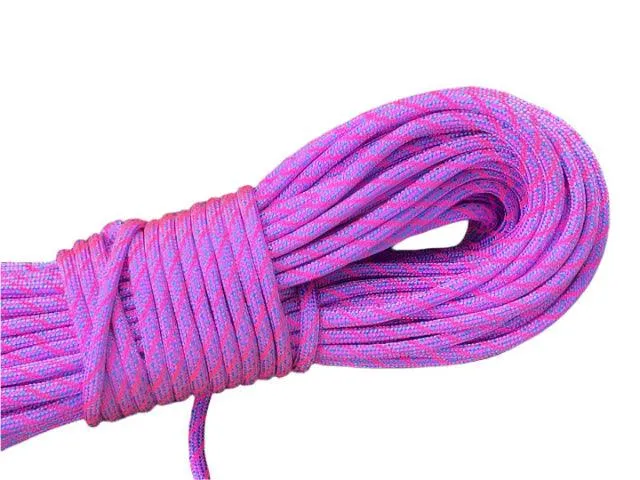 Helix - Baby Blue/Neon Pink Paracord