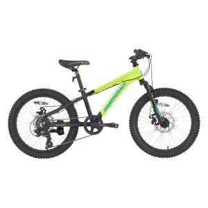 Kid's Snake Bike - 20"