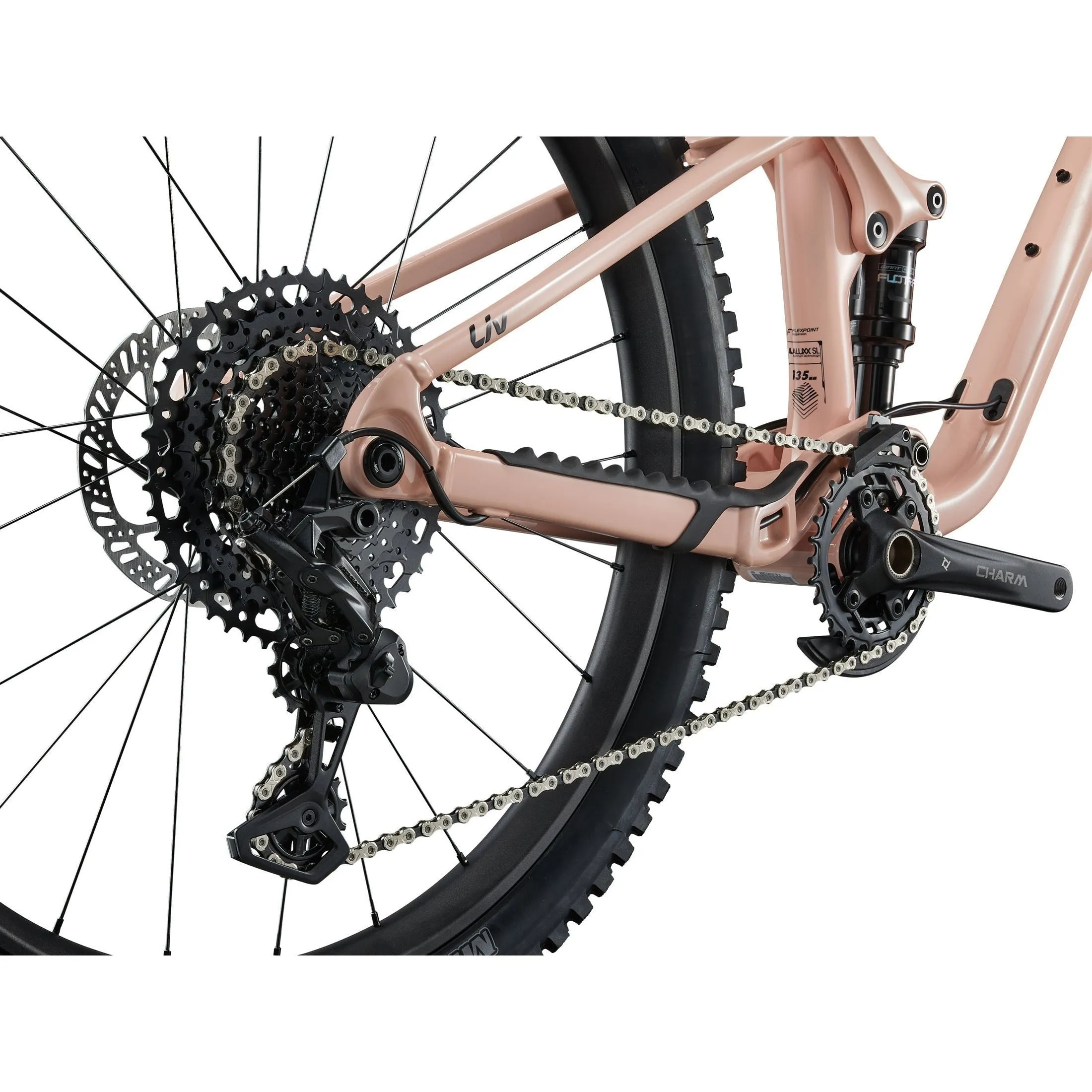 Liv 2025 Faith Mountain Bike