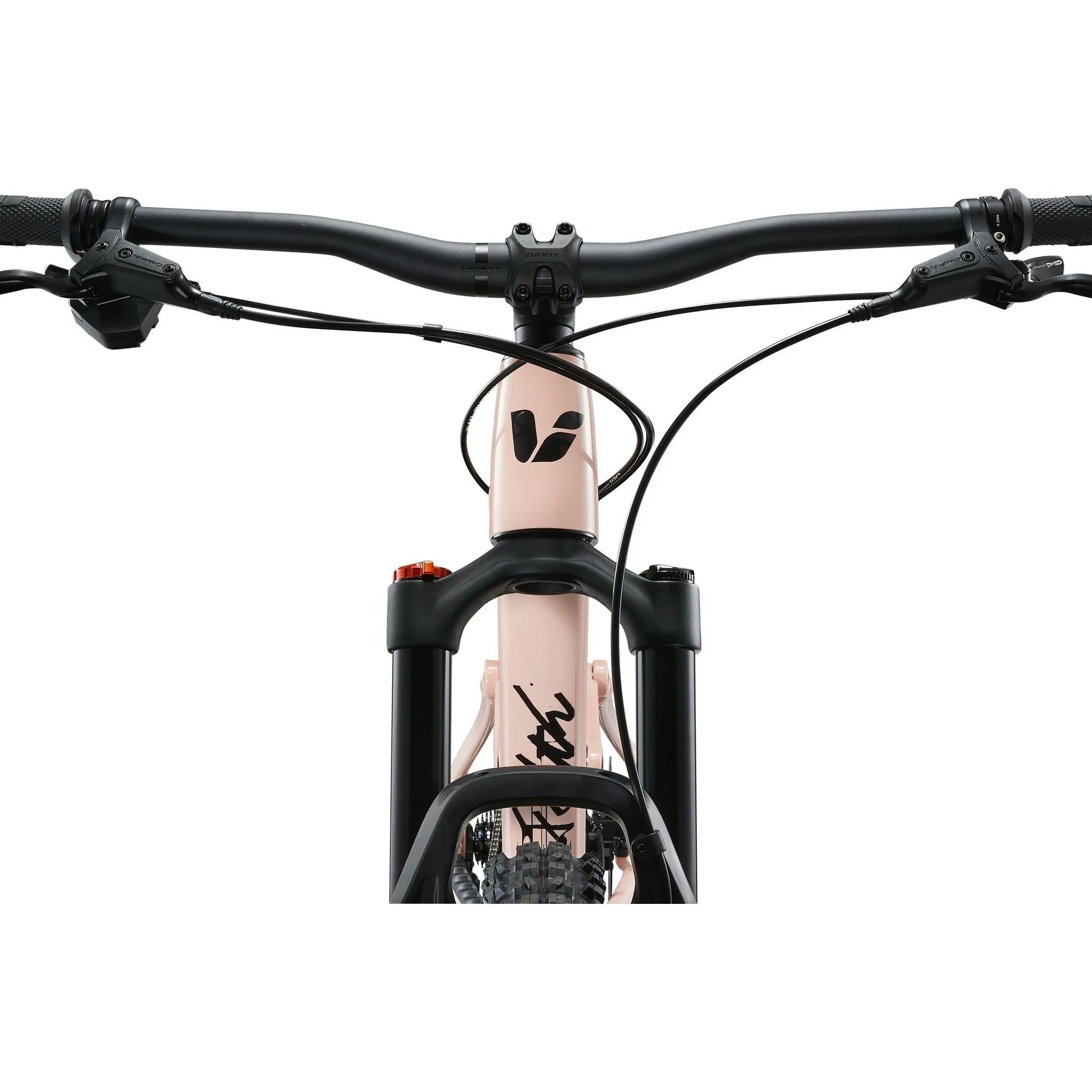 Liv 2025 Faith Mountain Bike