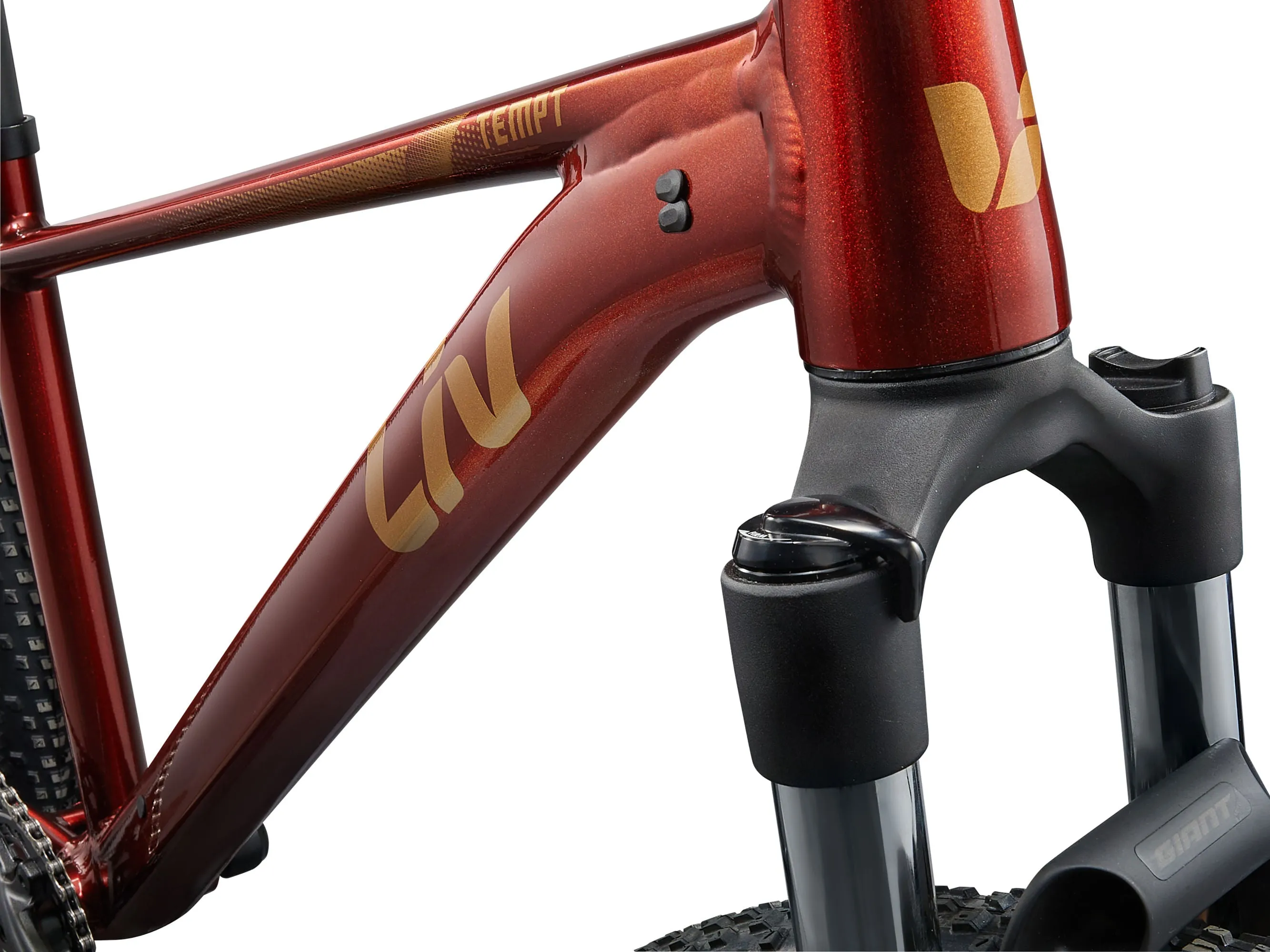 Liv Tempt 29 2 (2025)