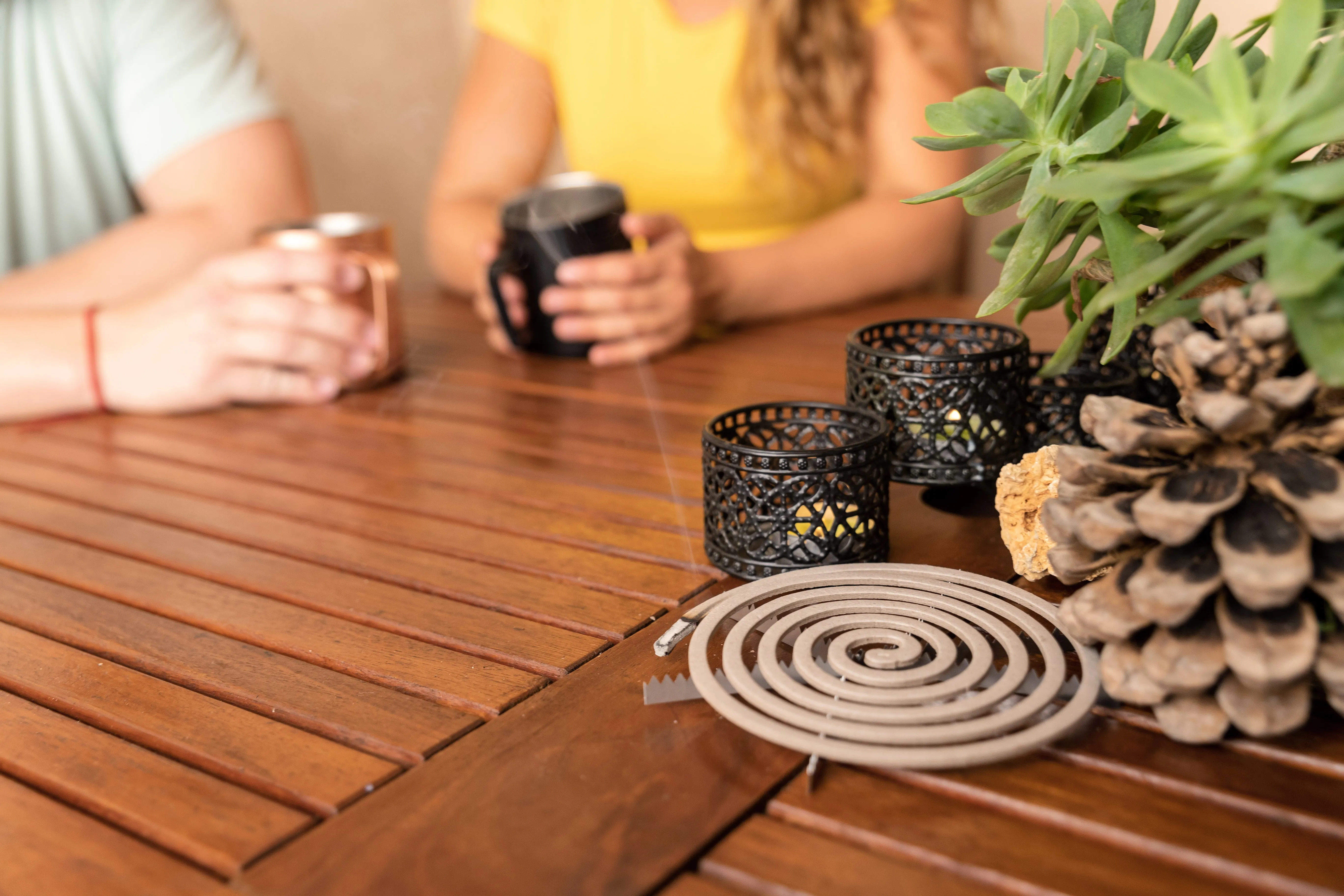 MOSQUITO SMOKE COILS x 10