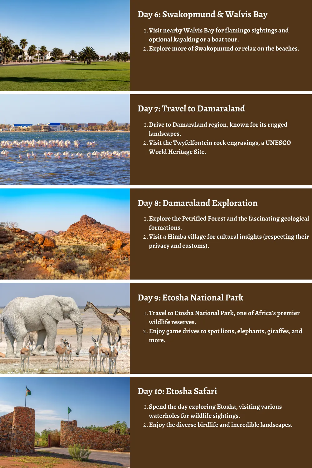 Namibia – From Desert Dunes to Wildlife Realms: A Comprehensive 10-Day Guide