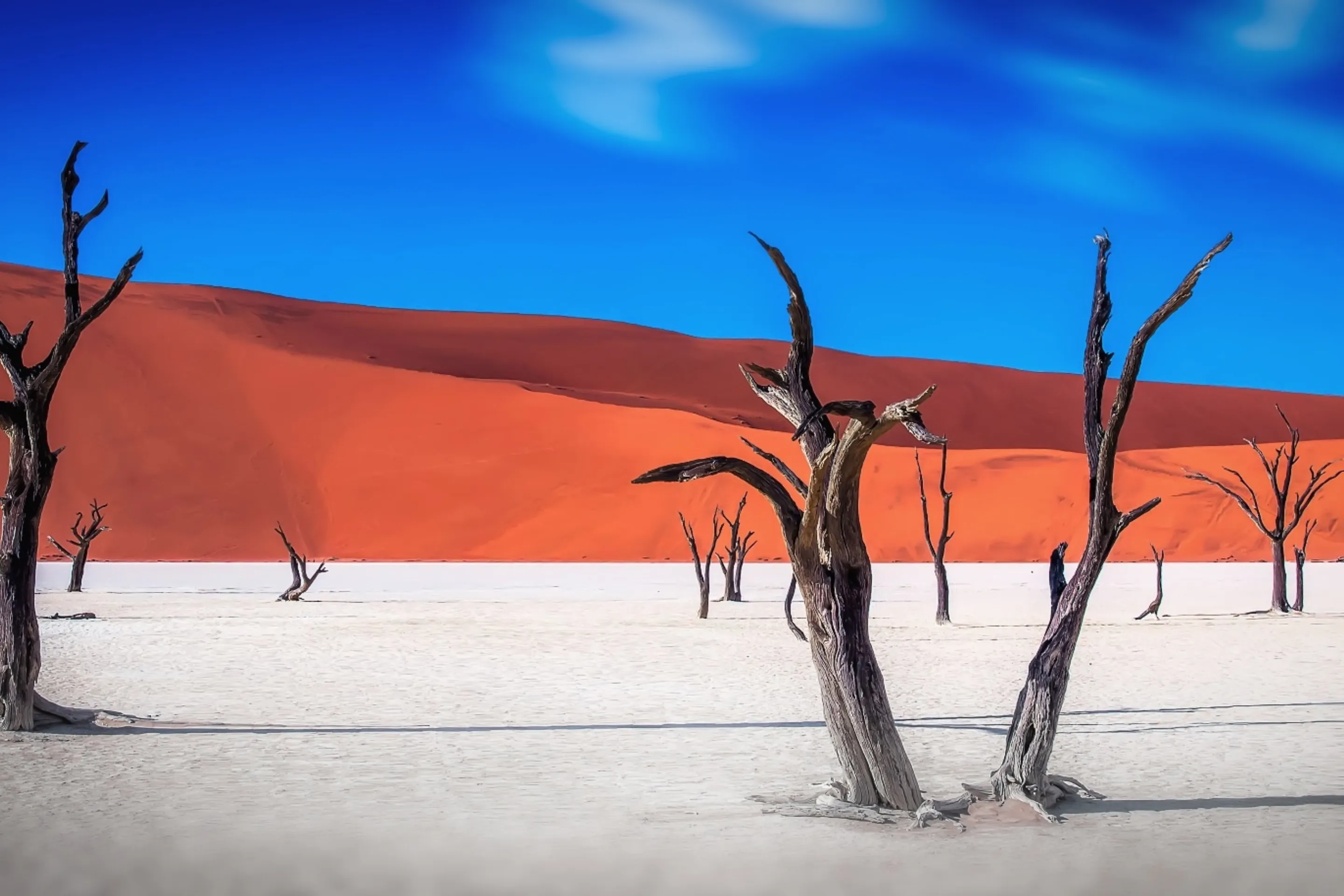 Namibia – From Desert Dunes to Wildlife Realms: A Comprehensive 10-Day Guide