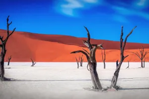 Namibia – From Desert Dunes to Wildlife Realms: A Comprehensive 10-Day Guide