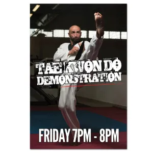 Tae Kwon Do Demo Cling